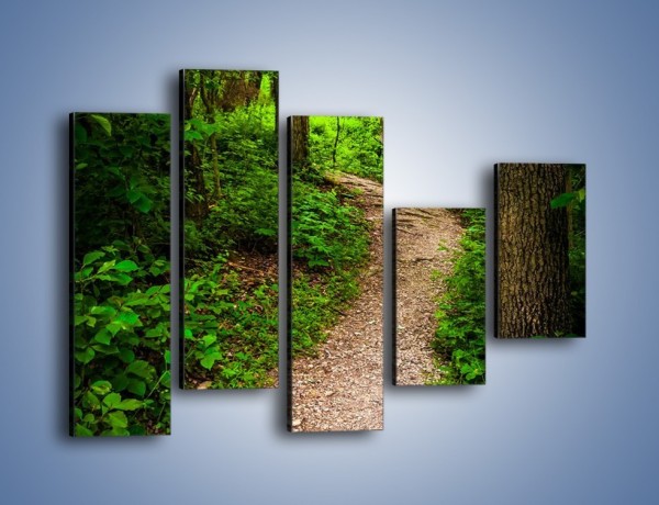 Obraz na płótnie – Wąską ścieżką leśną – pięcioczęściowy KN1296AW4