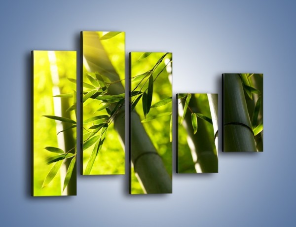 Obraz na płótnie – Twarde łodygi bambusa – pięcioczęściowy KN1314AW4