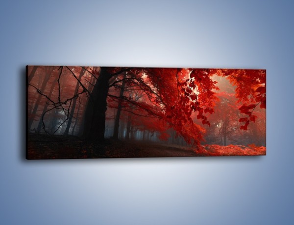 Obraz na płótnie – Smutna jesień lasu – jednoczęściowy panoramiczny KN1267A