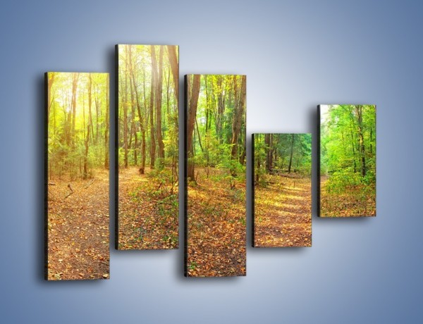 Obraz na płótnie – Przejrzysty piękny las – pięcioczęściowy KN1344AW4