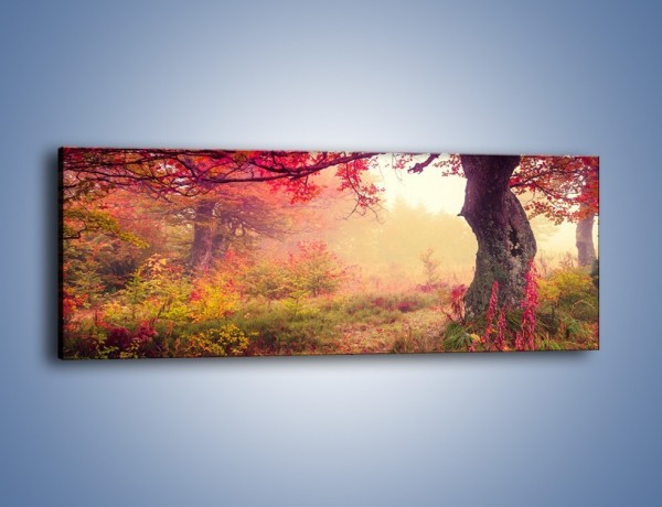 Obraz na płótnie – Kolorowa dzika łąka – jednoczęściowy panoramiczny KN1268A