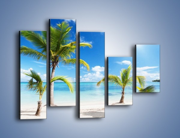 Obraz na płótnie – Palmy na pustej plaży – pięcioczęściowy KN245W4