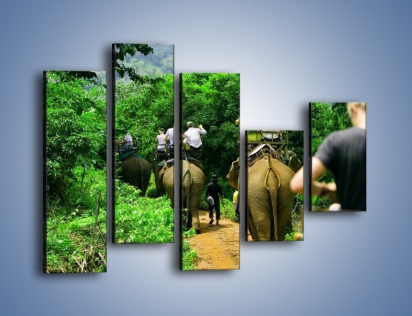 Obraz na płótnie – Podróż na słoniu – pięcioczęściowy KN414W4
