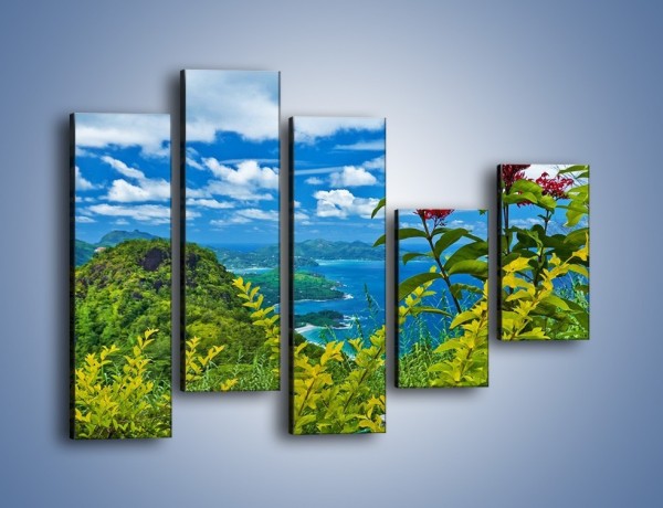 Obraz na płótnie – Bordowe kwiaty w górskim krajobrazie – pięcioczęściowy KN561W4