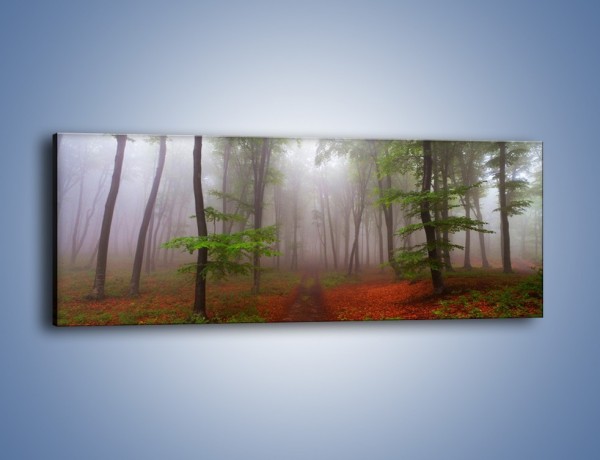 Obraz na płótnie – Budzący się lasek – jednoczęściowy panoramiczny KN1285A
