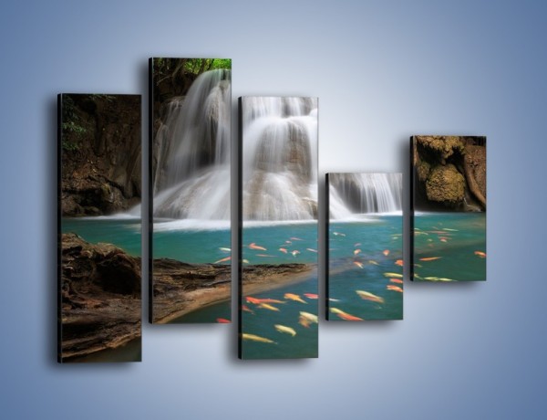 Obraz na płótnie – Wodospad i kolorowe rybki – pięcioczęściowy KN994W4