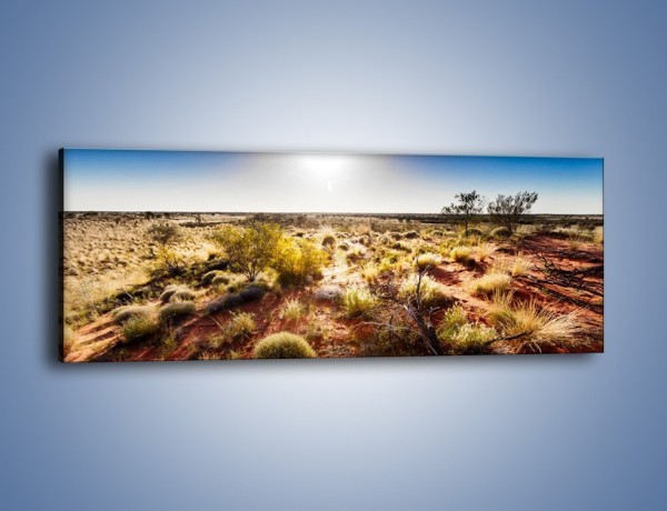 Obraz na płótnie – Spalona ziemia i roślinność – jednoczęściowy panoramiczny KN1287A