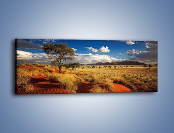 Obraz na płótnie – Czerwony piasek i roślinność – jednoczęściowy panoramiczny KN1290A