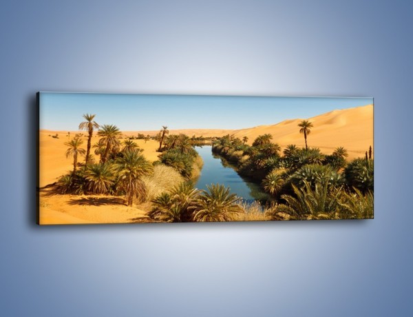 Obraz na płótnie – Woda woda na pustyni – jednoczęściowy panoramiczny KN1294A