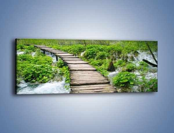 Obraz na płótnie – Dziki most i niepewność – jednoczęściowy panoramiczny KN1297A