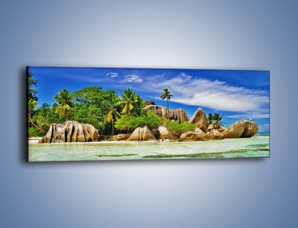 Obraz na płótnie – Tropiki i ich wysokości – jednoczęściowy panoramiczny KN1306A