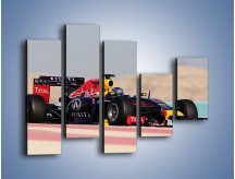 Obraz na płótnie – F1 Infiniti Red Bull – pięcioczęściowy TM241W4