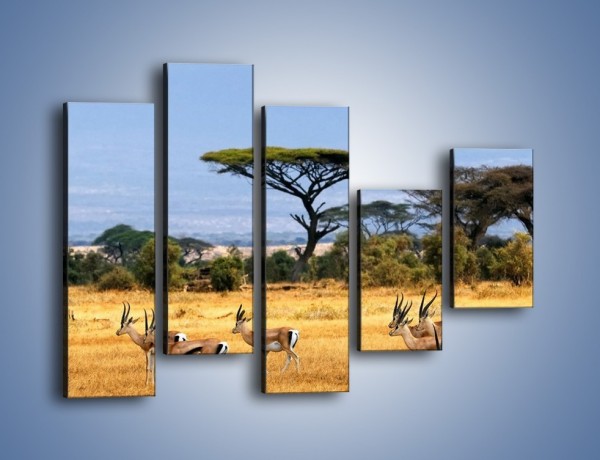 Obraz na płótnie – Antylopy w słonecznej afryce – pięcioczęściowy Z003W4