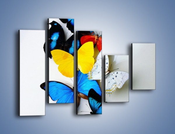 Obraz na płótnie – Kompozycja kolorowych motyli – pięcioczęściowy Z009W4