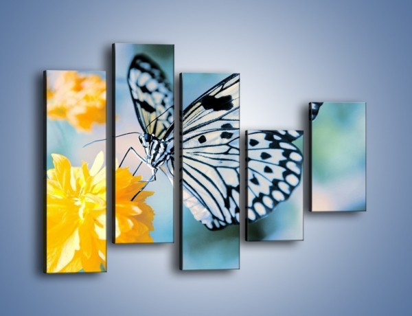 Obraz na płótnie – Motyw zebry w motylu – pięcioczęściowy Z010W4