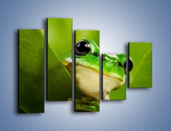 Obraz na płótnie – Zielony świat żabki – pięcioczęściowy Z014W4