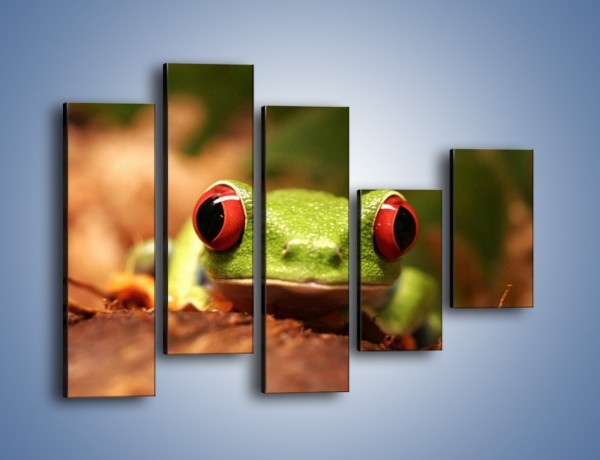 Obraz na płótnie – Bystre oczka małej żabki – pięcioczęściowy Z023W4