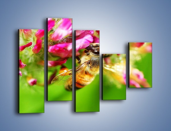 Obraz na płótnie – Pszczoły kochają kwiaty – pięcioczęściowy Z065W4