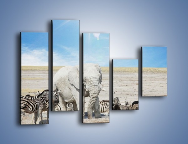 Obraz na płótnie – Słoń i jego przyjaciele – pięcioczęściowy Z080W4