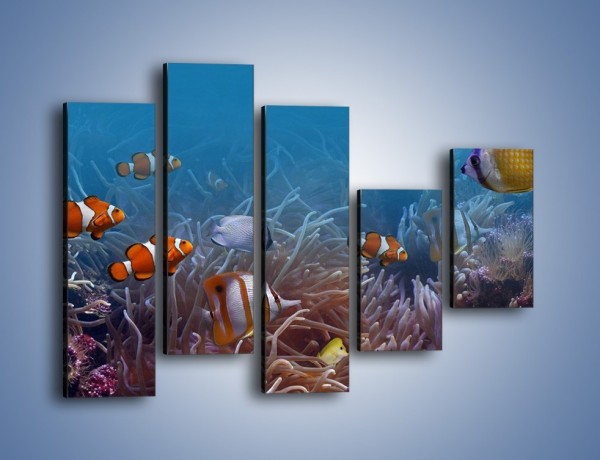 Obraz na płótnie – Ocean i jego kolorowi towarzysze – pięcioczęściowy Z168W4