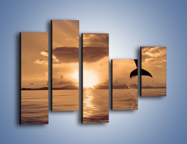 Obraz na płótnie – Z delfinem w stronę zachodzącego słońca – pięcioczęściowy Z170W4