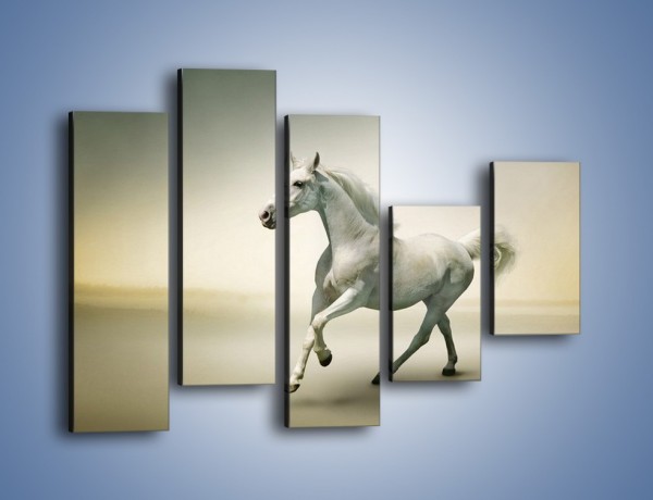 Obraz na płótnie – Samotny wieczór z białym koniem – pięcioczęściowy Z175W4