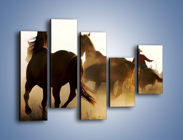 Obraz na płótnie – Cowboy wśród koni – pięcioczęściowy Z206W4