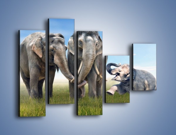 Obraz na płótnie – Przebij łapę ze słoniątkiem – pięcioczęściowy Z208W4