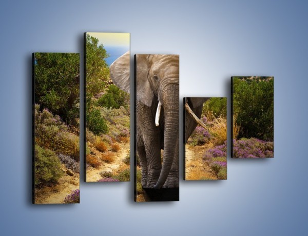 Obraz na płótnie – Moc i potęga słonia – pięcioczęściowy Z210W4