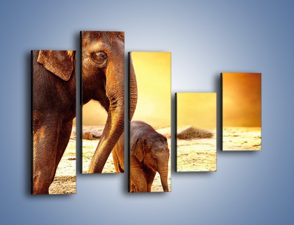 Obraz na płótnie – Tatuś i jego słoniątko – pięcioczęściowy Z219W4