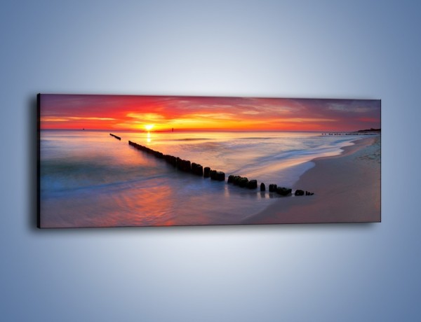 Obraz na płótnie – Głęboko zatopiony w piasku – jednoczęściowy panoramiczny KN1322A