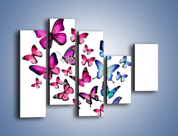 Obraz na płótnie – Rodzina kolorowych motyli – pięcioczęściowy Z235W4