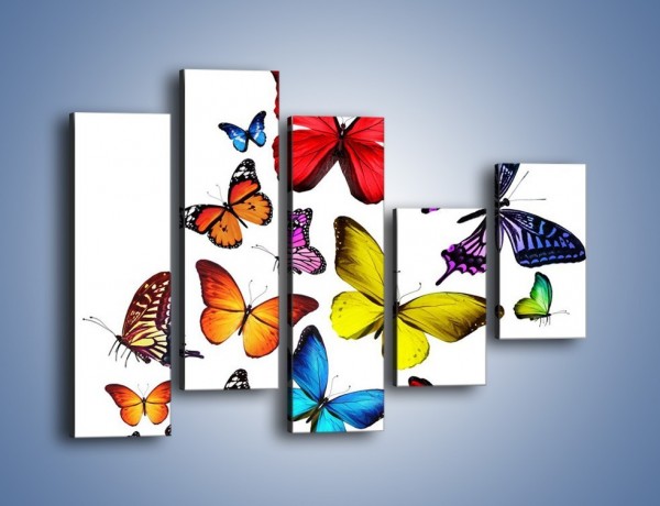 Obraz na płótnie – Kolorowo wśród motyli – pięcioczęściowy Z236W4