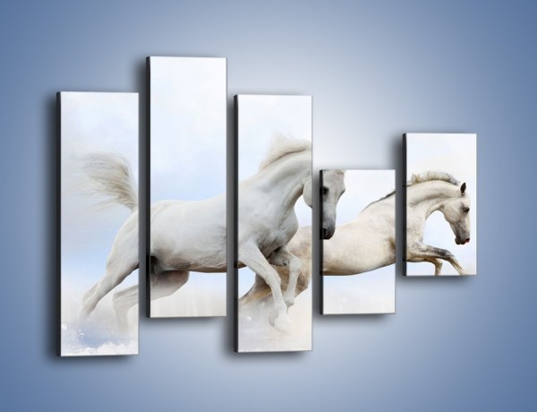 Obraz na płótnie – Białe konie i biały śnieg – pięcioczęściowy Z239W4