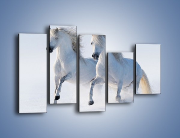 Obraz na płótnie – Gonitwa konna w bieli – pięcioczęściowy Z240W4