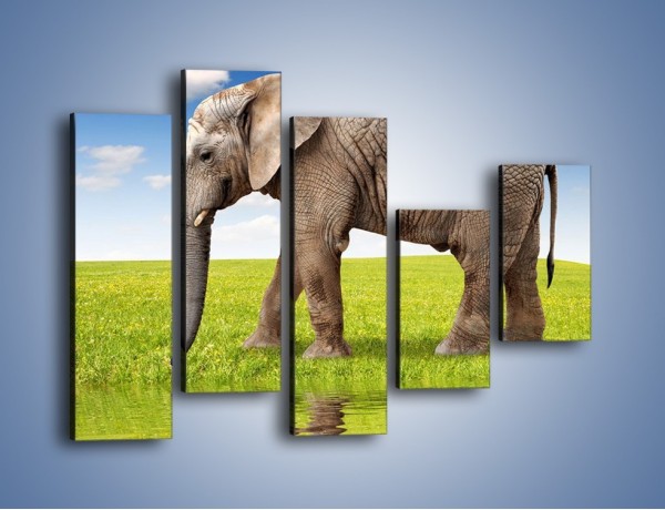 Obraz na płótnie – Odbicie słonia w wodnym lustrze – pięcioczęściowy Z245W4