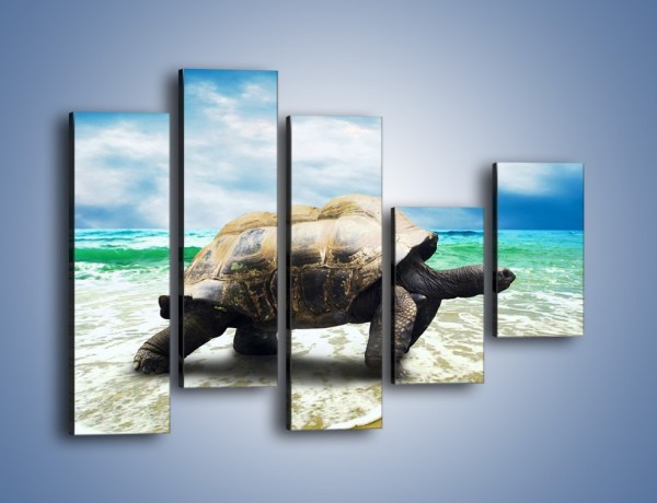 Obraz na płótnie – Jak tu nie kochać żółwi – pięcioczęściowy Z251W4