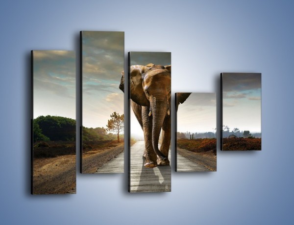 Obraz na płótnie – Słoń w poszukiwaniu rodziny – pięcioczęściowy Z256W4