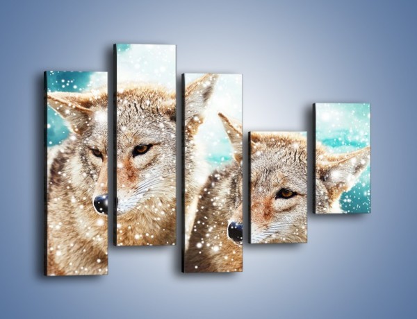 Obraz na płótnie – Zaciekawione wilki w płatkach śniegu – pięcioczęściowy Z257W4
