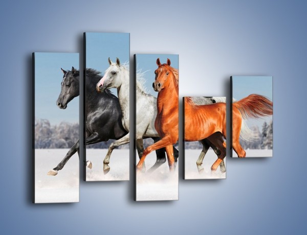 Obraz na płótnie – Konie w kolorach – pięcioczęściowy Z261W4