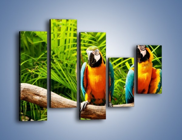 Obraz na płótnie – Papugi na tle paproci – pięcioczęściowy Z278W4