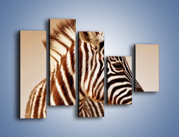 Obraz na płótnie – Zebra w irokezie – pięcioczęściowy Z296W4