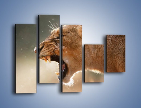 Obraz na płótnie – Ostrzeżenie lwiej samicy – pięcioczęściowy Z299W4