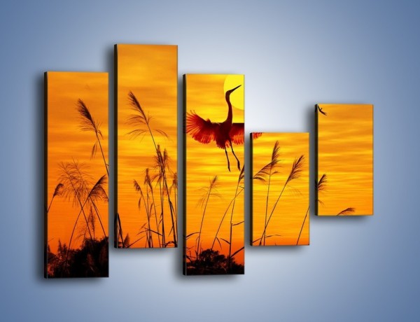 Obraz na płótnie – Czaple i zachód słońca – pięcioczęściowy Z302W4