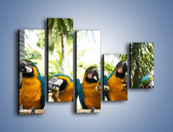 Obraz na płótnie – Piknik z papugami – pięcioczęściowy Z322W4