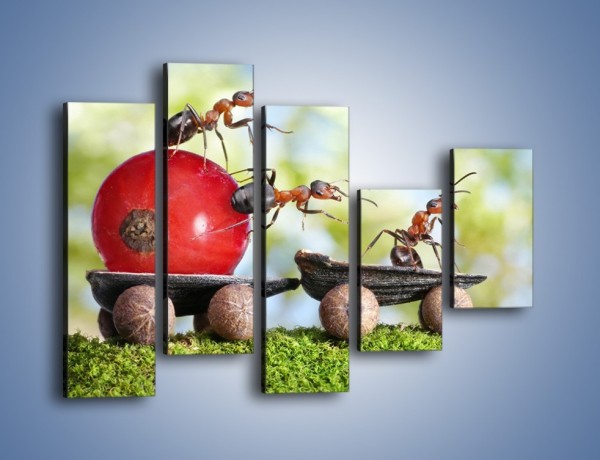 Obraz na płótnie – Mrówki i ich powóz – pięcioczęściowy Z325W4