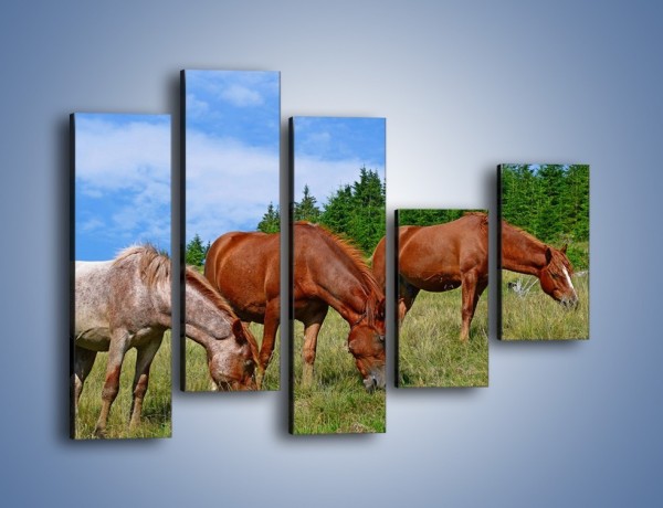 Obraz na płótnie – Spokój las i konie – pięcioczęściowy Z330W4