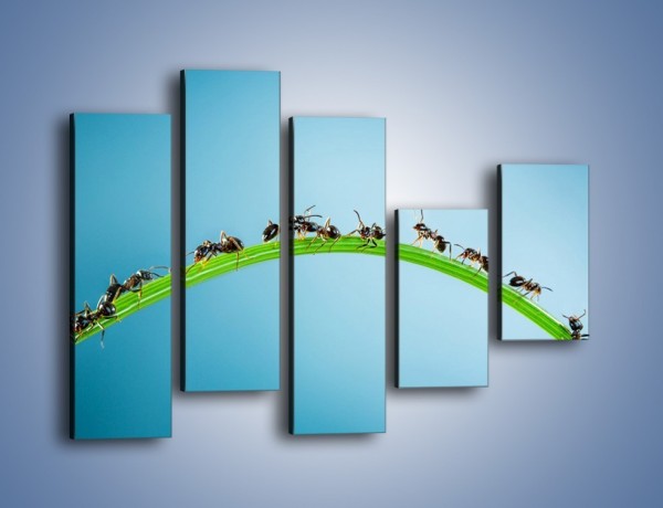 Obraz na płótnie – Mrówki na zielonym moście – pięcioczęściowy Z336W4