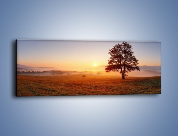 Obraz na płótnie – Krajobraz utopiony we mgle – jednoczęściowy panoramiczny KN1331A