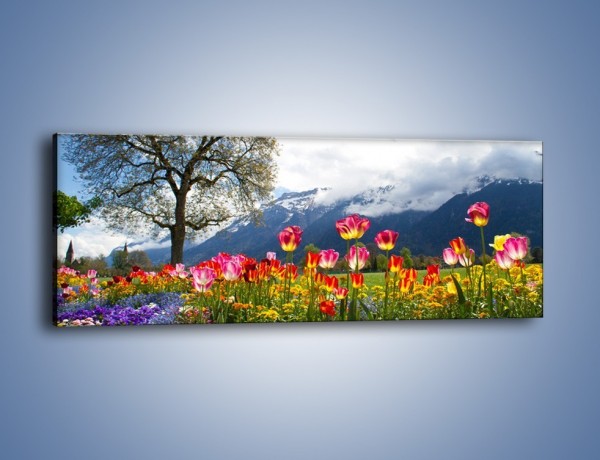 Obraz na płótnie – Tulipanki i ich towarzysze – jednoczęściowy panoramiczny KN1333A